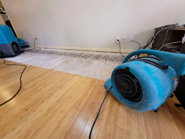 Professional Basement Flood Cleanup technician working in Placentia, CA